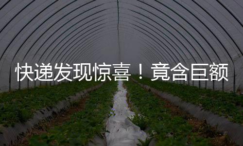 快遞發(fā)現(xiàn)驚喜！竟含巨額購物卡引警覺報(bào)案揭秘追蹤過程（附辦案細(xì)節(jié)）