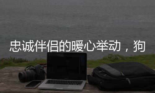 忠誠(chéng)伴侶的暖心舉動(dòng)，狗狗主動(dòng)為小主人擔(dān)任腳墊子