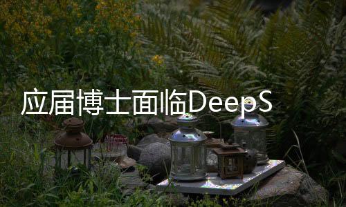 應(yīng)屆博士面臨DeepSeek面試挑戰(zhàn)，一場持續(xù)三小時(shí)的深度對話
