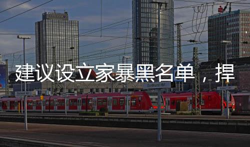 建議設(shè)立家暴黑名單，捍衛(wèi)家庭和諧，共建美好未來社會(huì)