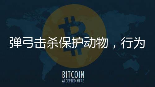 彈弓擊殺保護(hù)動(dòng)物，行為惡劣，法律嚴(yán)懲