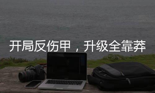開局反傷甲，升級全靠莽！
