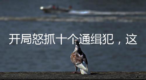 開局怒抓十個通緝犯，這是新警？