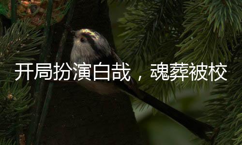 開(kāi)局扮演白哉，魂葬被校花直播！