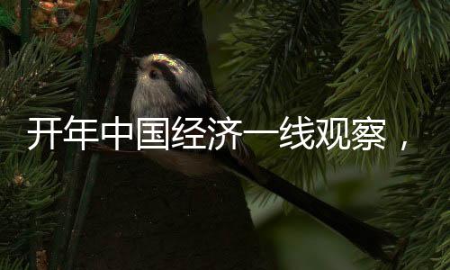 開年中國經(jīng)濟(jì)一線觀察，穩(wěn)健起步，活力涌現(xiàn)