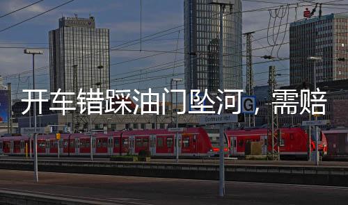 開車錯踩油門墜河，需賠償護(hù)欄損失——一起交通事故引發(fā)的深思