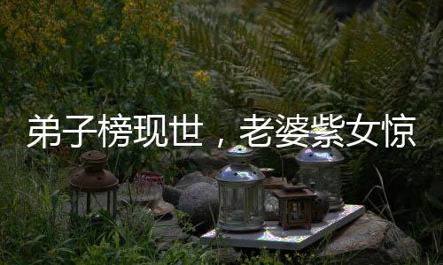 弟子榜現(xiàn)世，老婆紫女驚呆了
