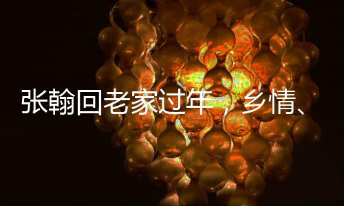 張翰回老家過年，鄉(xiāng)情、傳統(tǒng)與現(xiàn)代交融的溫馨瞬間