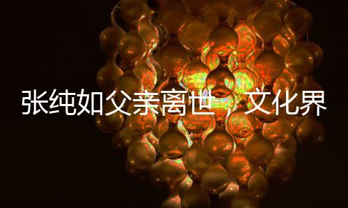 張純?nèi)绺赣H離世，文化界人士緬懷傳奇人物