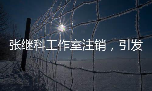 張繼科工作室注銷，引發(fā)關(guān)注熱議