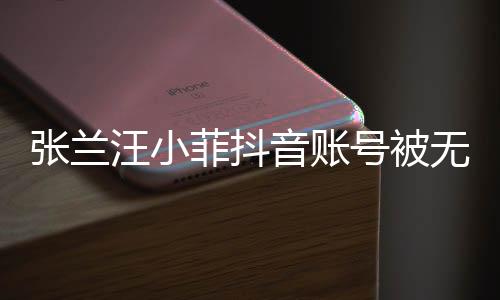 張?zhí)m汪小菲抖音賬號(hào)被無限期封禁，引發(fā)網(wǎng)友熱議