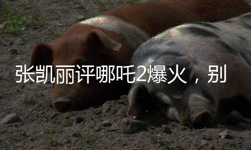 張凱麗評(píng)哪吒2爆火，別一哄而上