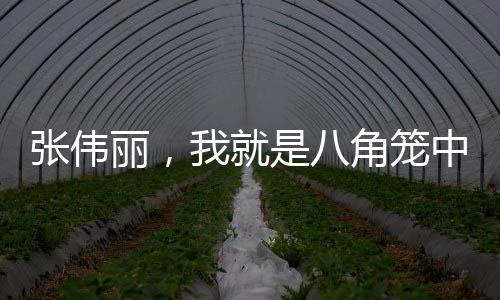張偉麗，我就是八角籠中的哪吒