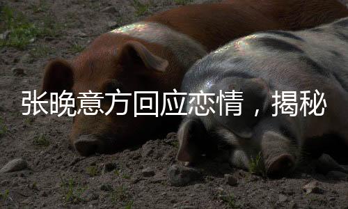 張晚意方回應(yīng)戀情，揭秘背后的故事