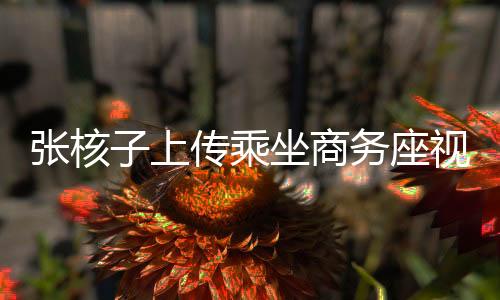 張核子上傳乘坐商務(wù)座視頻，公眾對(duì)其行為的解讀與探討