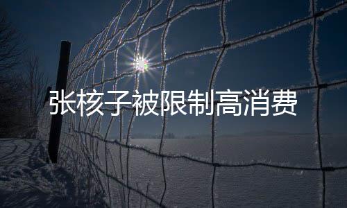 張核子被限制高消費(fèi)