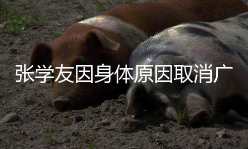 張學(xué)友因身體原因取消廣州演唱會(huì)，引發(fā)歌迷熱議