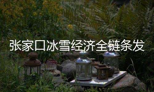 張家口冰雪經(jīng)濟(jì)全鏈條發(fā)展  冬奧場(chǎng)館利用成效顯著