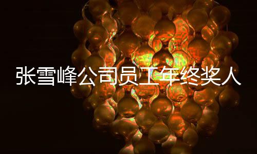 張雪峰公司員工年終獎人均達六萬，公司激勵機制與社會責任并重展現(xiàn)
