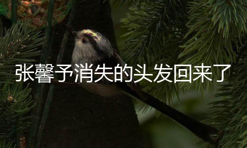 張馨予消失的頭發(fā)回來(lái)了，揭秘秀發(fā)重生的秘密