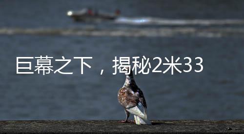巨幕之下，揭秘2米33巨人演員的日?！?米床穿59碼鞋