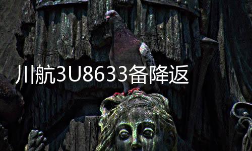 川航3U8633備降返航事件全程回顧與解析