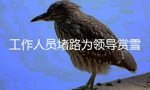 工作人員堵路為領(lǐng)導(dǎo)賞雪引發(fā)爭議，官方回應(yīng)