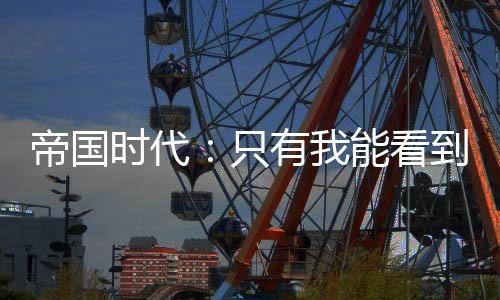 帝國(guó)時(shí)代：只有我能看到隱藏詞條