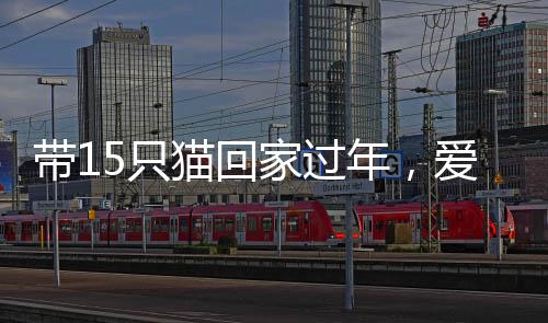 帶15只貓回家過年，愛心滿滿的溫暖旅程