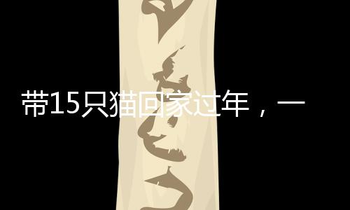 帶15只貓回家過年，一場溫馨的寵物跨年之旅