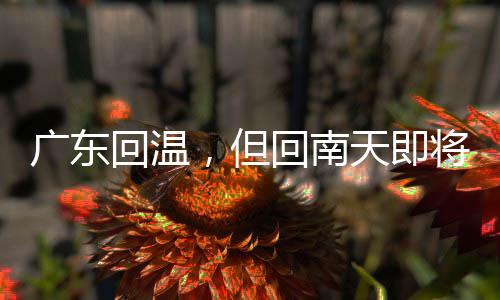 廣東回溫，但回南天即將來襲