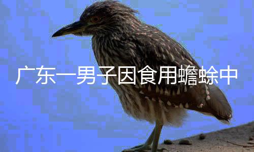 廣東一男子因食用蟾蜍中毒不幸身亡，警惕野生動(dòng)物食用風(fēng)險(xiǎn)