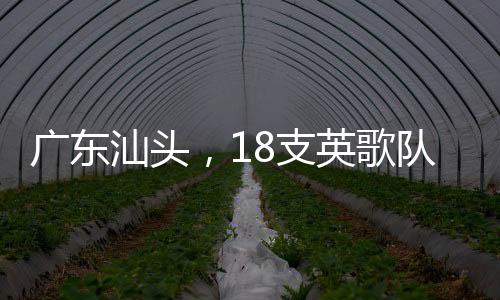 廣東汕頭，18支英歌隊(duì)同臺(tái)共舞迎新春，喜慶氛圍燃爆全場