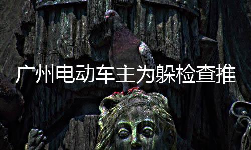廣州電動車主為躲檢查推隔離墩逃離，事件背后引發(fā)深思