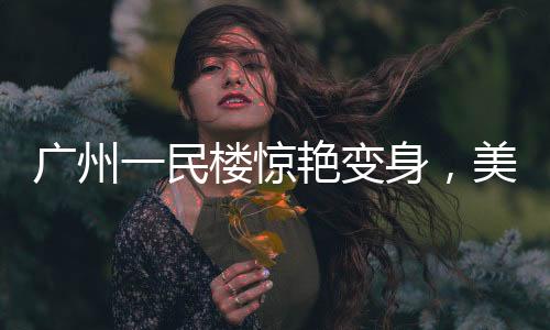 廣州一民樓驚艷變身，美景如畫提米拉米蘇