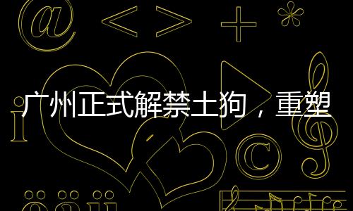 廣州正式解禁土狗，重塑城市與本土犬種和諧共生的新篇章