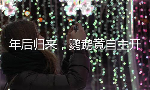 年后歸來，鸚鵡竟自主開籠拆家，主人驚嘆不已