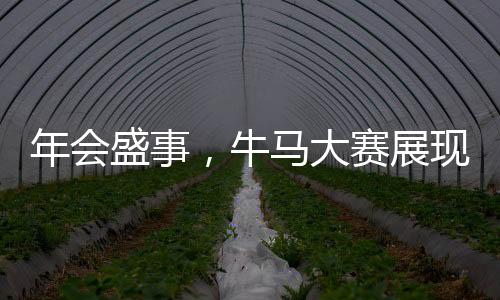 年會盛事，牛馬大賽展現獨特魅力，歡樂氛圍點燃全場熱情