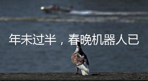 年未過半，春晚機(jī)器人已引熱潮，全民cos新潮涌