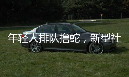 年輕人排隊擼蛇，新型社交活動掀起熱潮