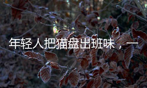 年輕人把貓盤出班味，一種新型文化現(xiàn)象的觀察與解讀