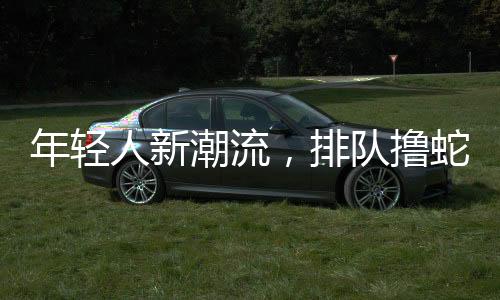 年輕人新潮流，排隊(duì)擼蛇現(xiàn)象揭秘