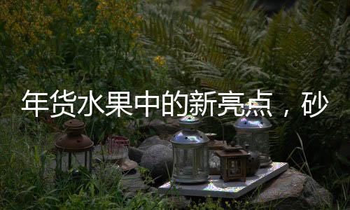 年貨水果中的新亮點，砂糖桔并非C位
