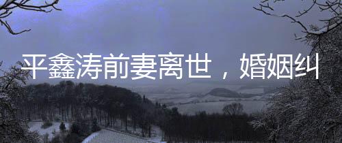 平鑫濤前妻離世，婚姻糾紛背后的瓊瑤牽連引發(fā)關(guān)注