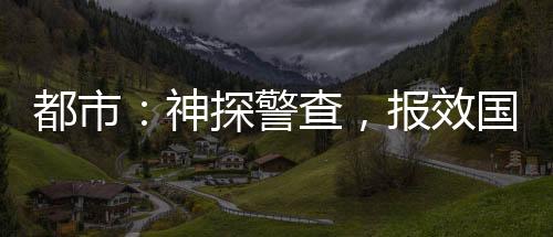 都市：神探警查，報效國家