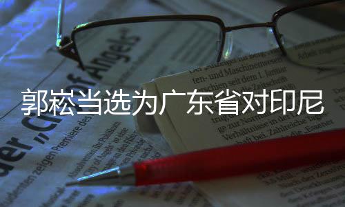 郭崧當(dāng)選為廣東省對(duì)印尼貿(mào)易促進(jìn)會(huì)第一屆理事會(huì)會(huì)長(zhǎng)