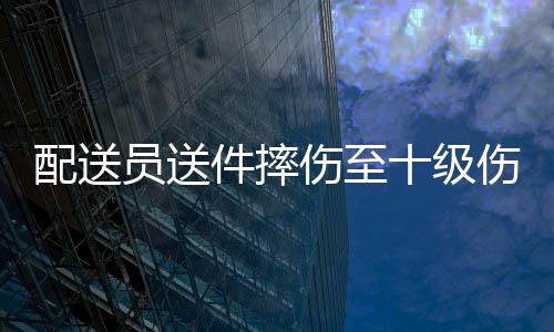 配送員送件摔傷至十級(jí)傷殘，起訴平臺(tái)——維護(hù)勞動(dòng)者權(quán)益的正義之戰(zhàn)