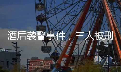 酒后襲警事件，三人被刑拘，警示社會必須尊重法律