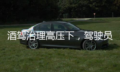酒駕治理高壓下，駕駛員巧妙躲查終進(jìn)派出所