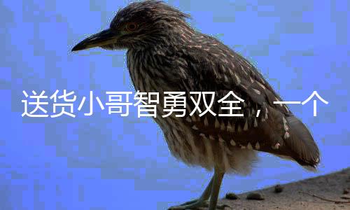 送貨小哥智勇雙全，一個月兩次識破現(xiàn)金騙局，贏得社會贊譽